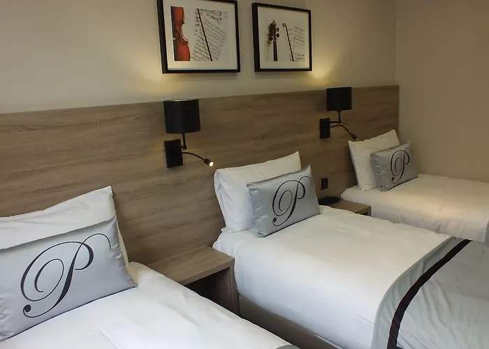 호텔 파가니니 3*